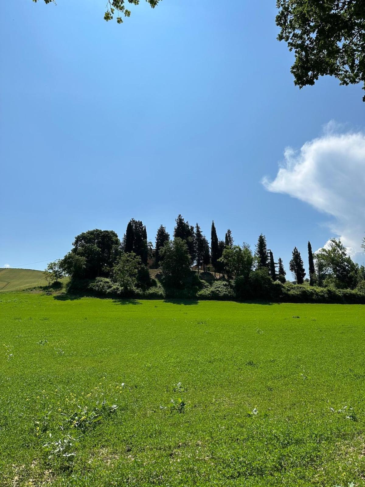 מונטלצ'ינו Villa Il Giardinello מראה חיצוני תמונה