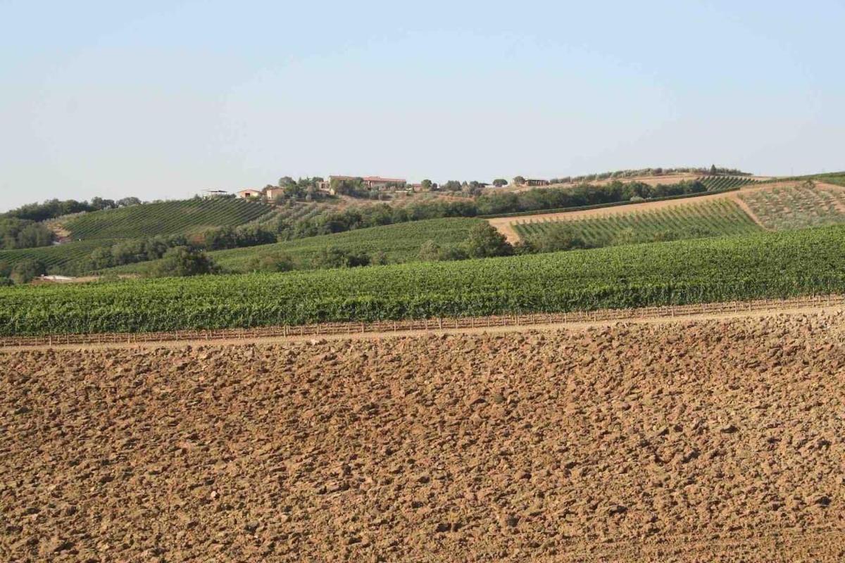 מונטלצ'ינו Villa Il Giardinello מראה חיצוני תמונה